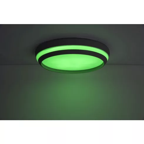 CEPA mennyezeti lámpa, RGB                                                                            L8402901012