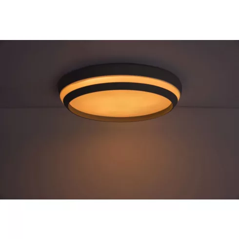 CEPA mennyezeti lámpa, RGB                                                                            L8402901012