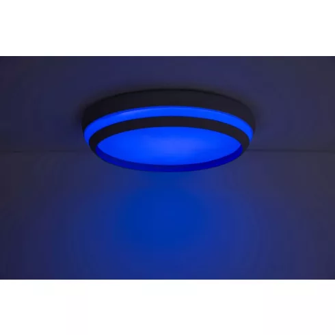 CEPA mennyezeti lámpa, RGB                                                                            L8402901012