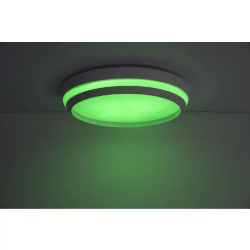 CEPA mennyezeti lámpa, RGB                                                                            L8402901446