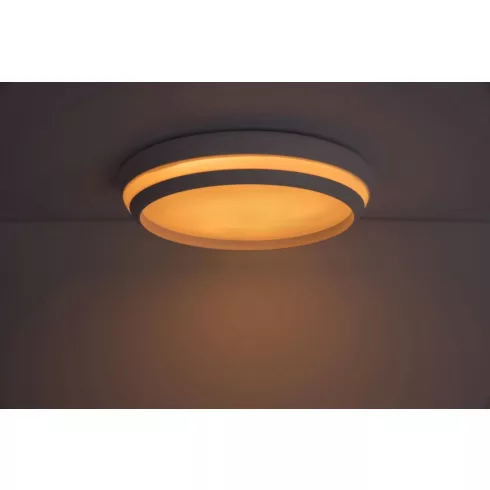 CEPA mennyezeti lámpa, RGB                                                                            L8402901446