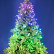   iSparkle LED-es fényfüzérköteg, SMART, RGB, 144 LED/8x1,8 m, zöld vezeték, IP44, HSO                  LEDS144C-APP