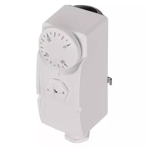 Manuális csőtermosztát                                                                                P5681