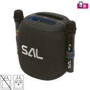   SAL boombox, 100W, 2 vezeték nélküli mikrofon, 5 hangszóró, LED fényeffekt, IPX6, Bluetooth, HSO      PARCUBE