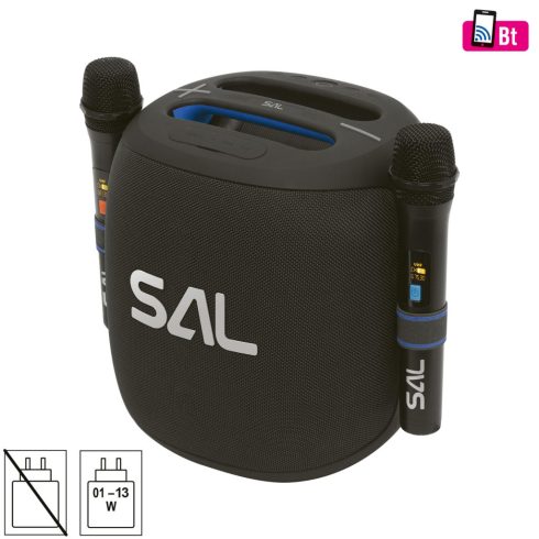 SAL boombox, 100W, 2 vezeték nélküli mikrofon, 5 hangszóró, LED fényeffekt, IPX6, Bluetooth, HSO      PARCUBE