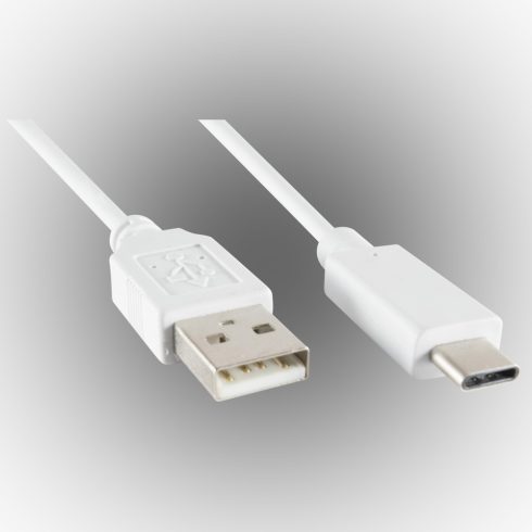 Töltőkábel, USB-C                                                                                     USBC1