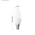 LED izzó gyertya E14 5,5W(40W) 470lm NW                                                               ZL3F23