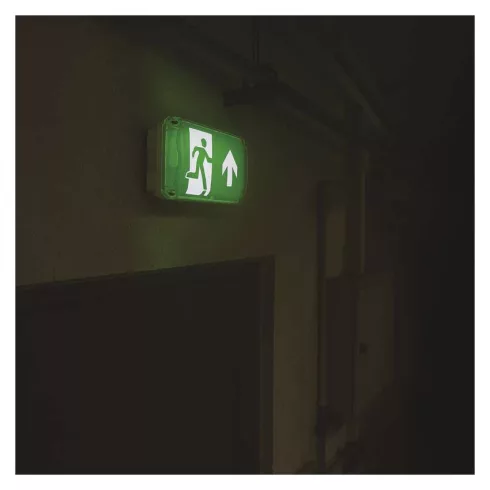 LED vészvilágító lámpatest NESSI, 3W, 3 óra, 150 lm, 6500 K, 1500 mAh, IP66                           ZN2120