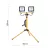 LED reflektor Hobby Slim, 2x30W + háromlábú állvány, IP65                                             ZS2231.2